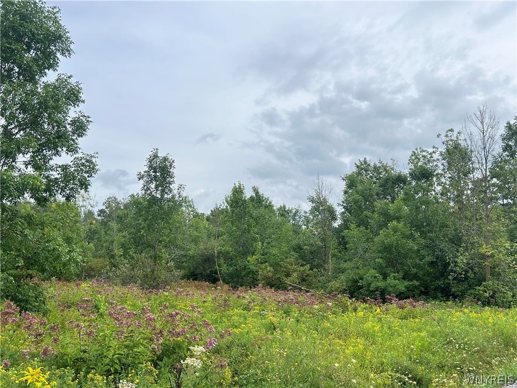 0 Tinkham Road