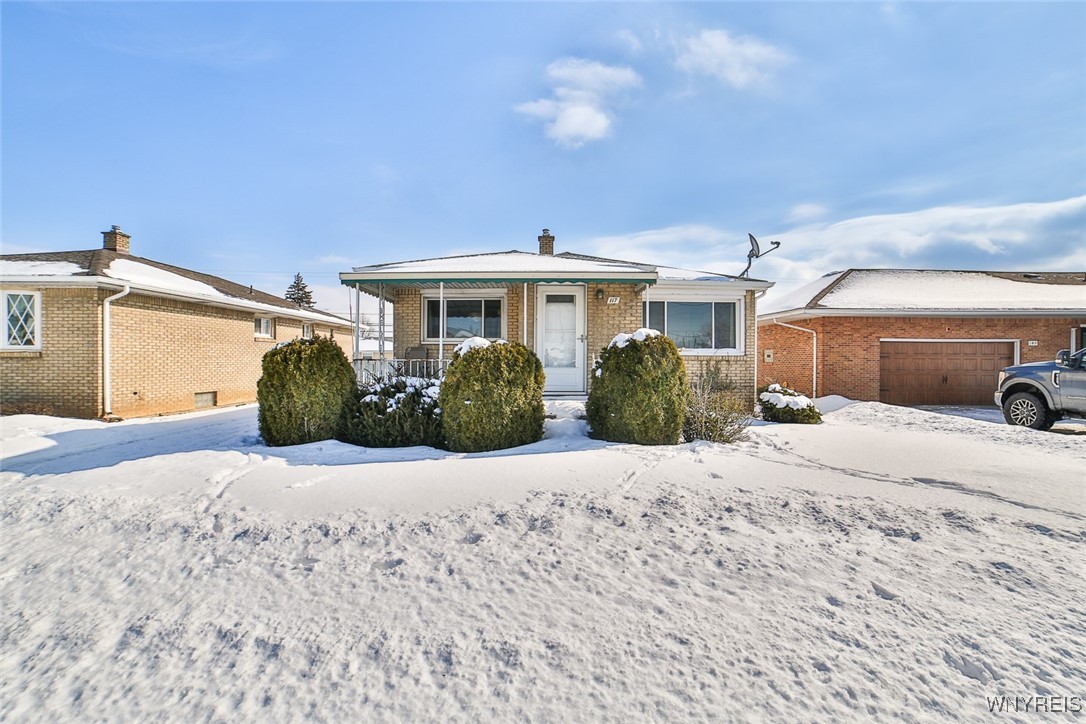 117 Raymond Avenue, Cheektowaga, New York image 1
