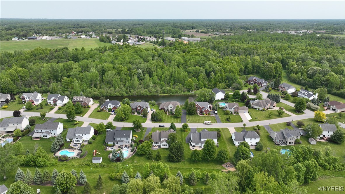 9698 Carmelo Court, Clarence, New York image 47