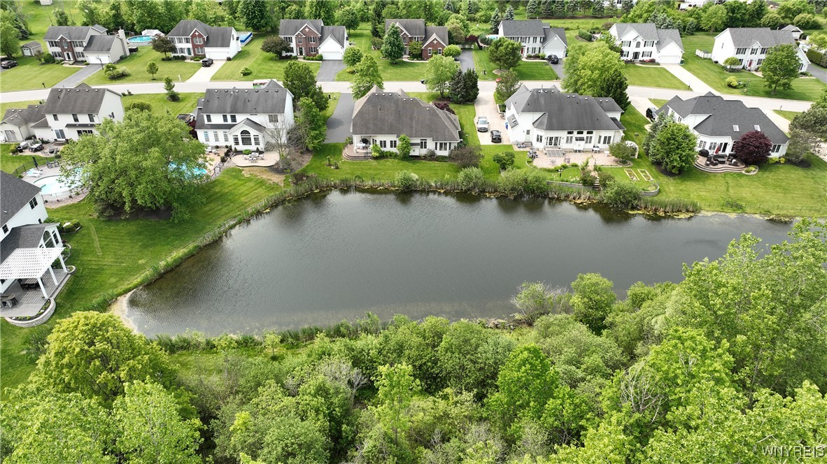 9698 Carmelo Court, Clarence, New York image 49
