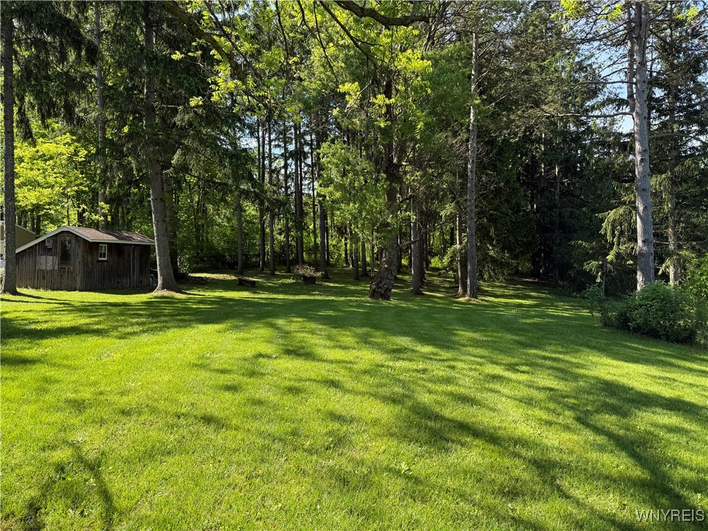 7961 Reserve Road, Orchard Park, New York image 14