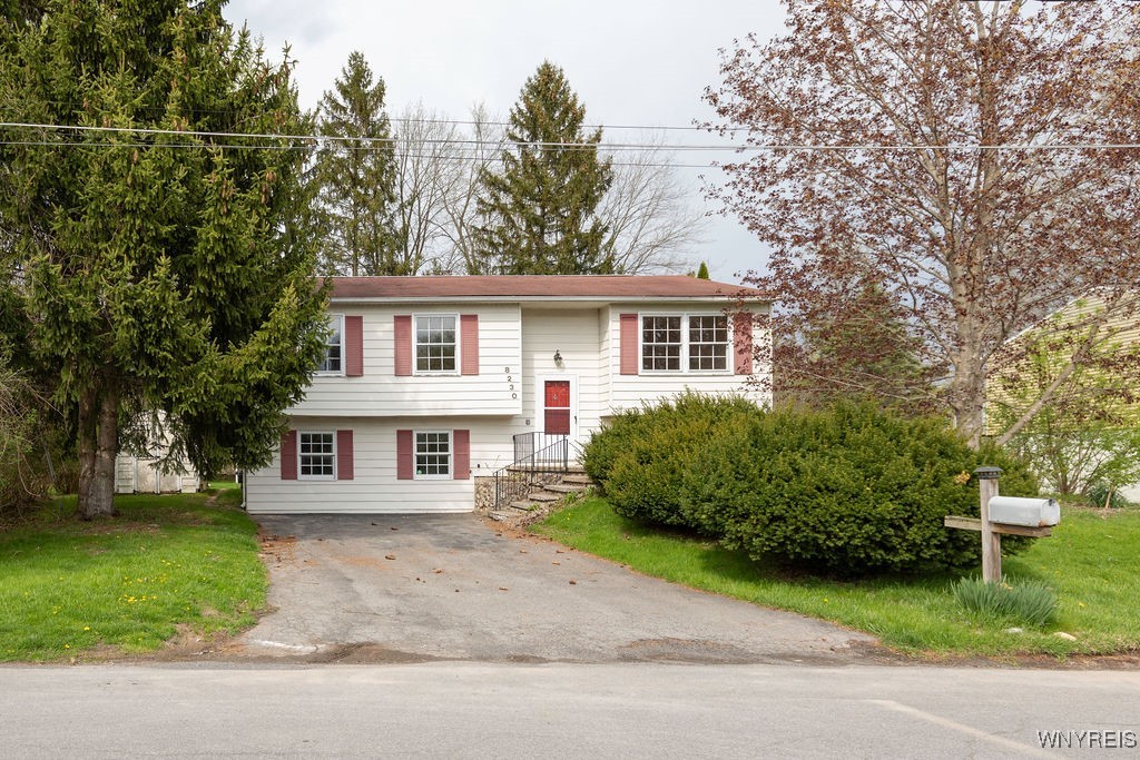 8230 Bitternut Lane, Clay, New York image 42