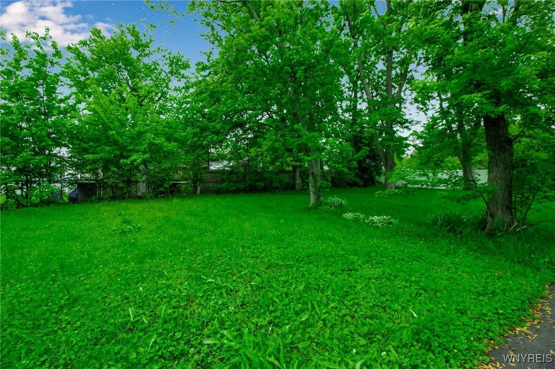 4018 Monroe Avenue, Hamburg, New York image 3