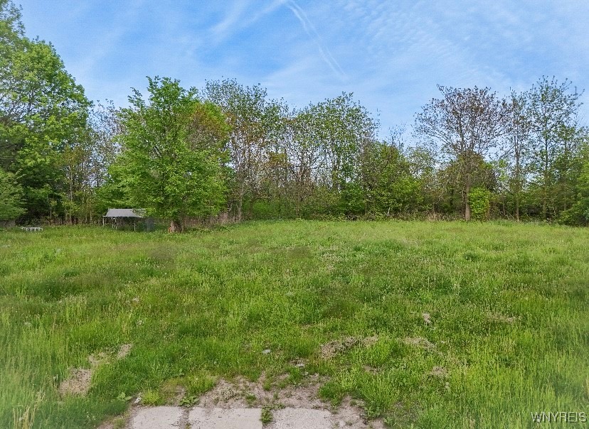 19 Oberlin Avenue, Buffalo, New York image 3
