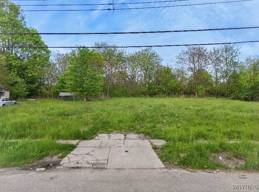 19 Oberlin Avenue, Buffalo, New York image 1