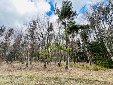 Vacant Land For Sale - Shero Road<br/> Erie County, Boston, NY 14025