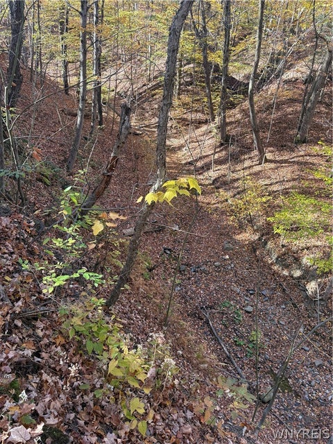 Photo of V/L A Geise Road, Bennington, NY 14080 (MLS # B1725026)