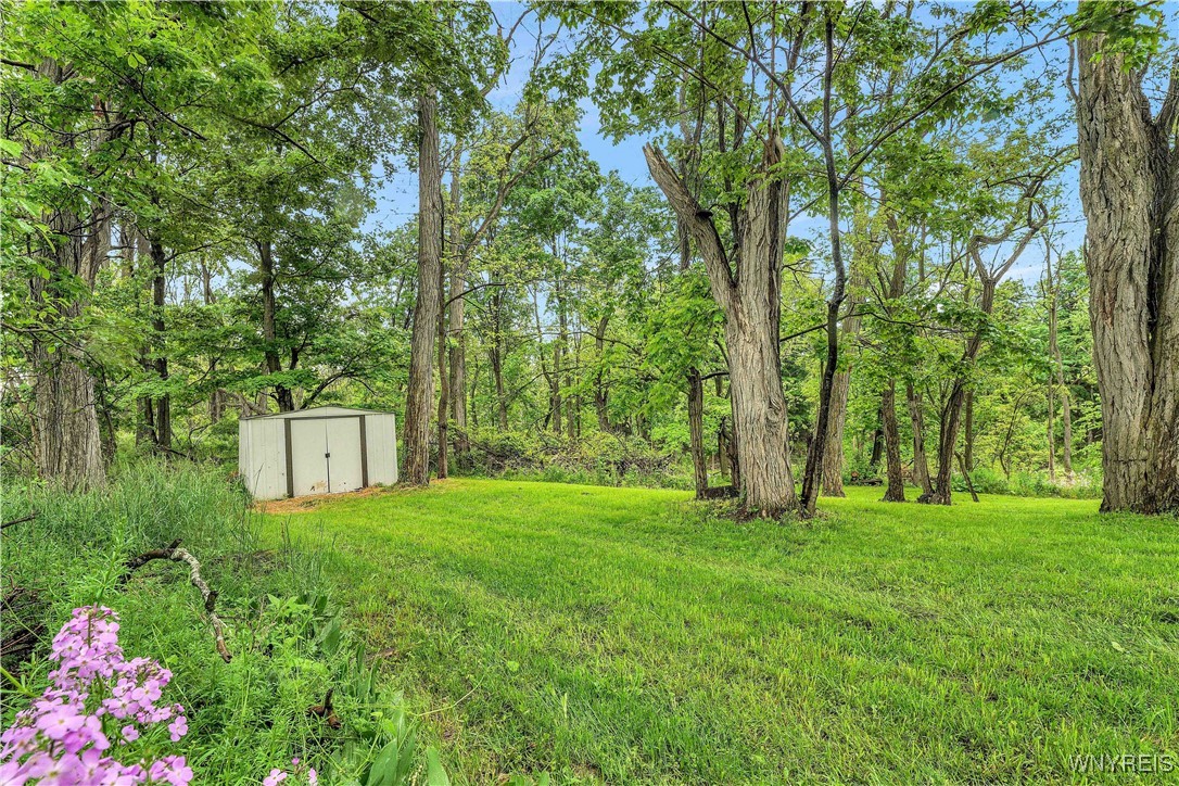 3651 Livonia Center Road, Livonia, New York image 37