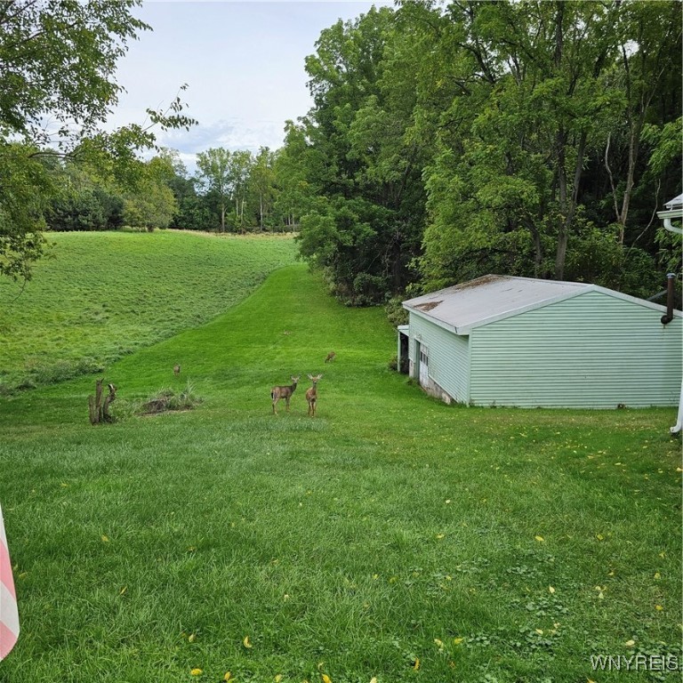 Lockport-City, New York 14094, United States, 4 Bedrooms Bedrooms, ,1 BathroomBathrooms,Residential,Pending,40586