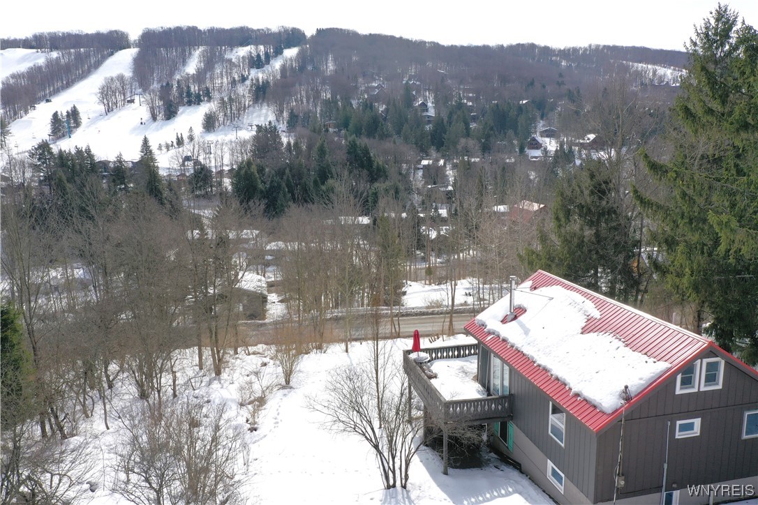 6826 Springs Road, Ellicottville, New York image 2