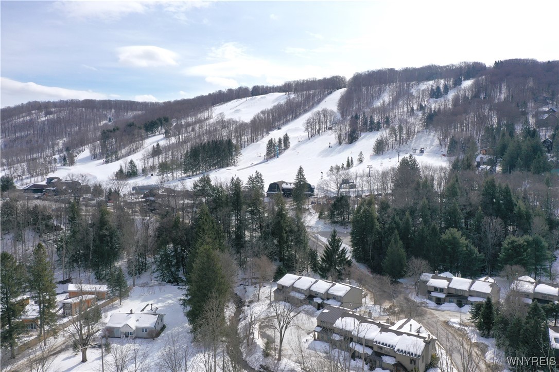6826 Springs Road, Ellicottville, New York image 46