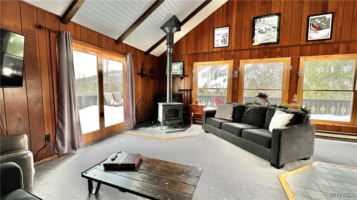 6826 Springs Road, Ellicottville, New York image 25