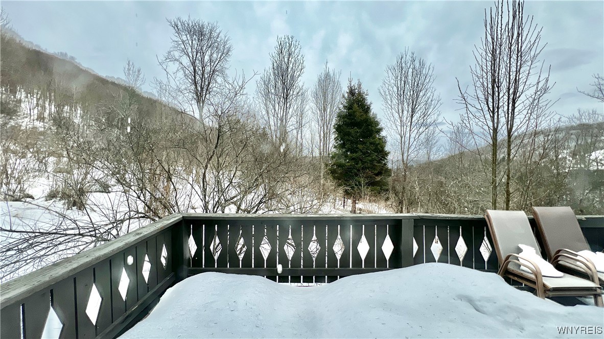 6826 Springs Road, Ellicottville, New York image 47