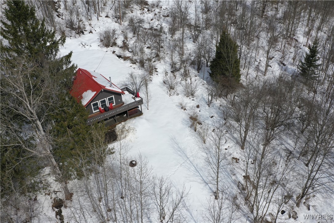 6826 Springs Road, Ellicottville, New York image 45