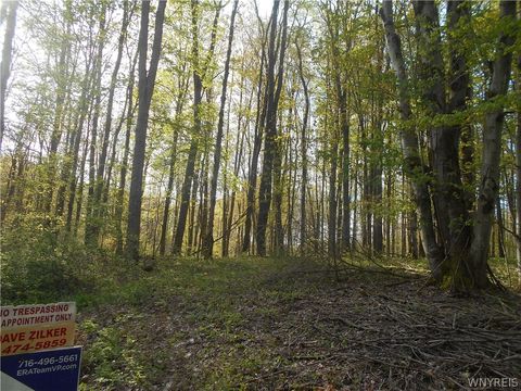 Tiny photo for 0 Neamon Drive, Yorkshire, NY 14042 (MLS # B1684429)
