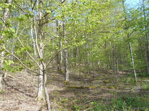 Tiny photo for 0 Neamon Drive, Yorkshire, NY 14042 (MLS # B1684429)