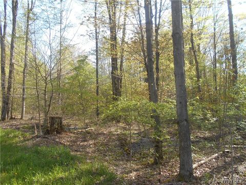 Tiny photo for 0 Neamon Drive, Yorkshire, NY 14042 (MLS # B1684429)