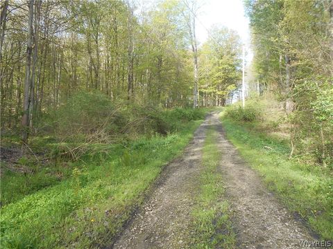 Tiny photo for 0 Neamon Drive, Yorkshire, NY 14042 (MLS # B1684429)