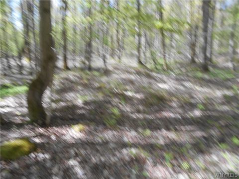 Tiny photo for 0 Neamon Drive, Yorkshire, NY 14042 (MLS # B1684429)