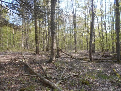Tiny photo for 0 Neamon Drive, Yorkshire, NY 14042 (MLS # B1684429)