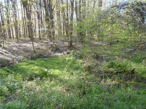 Tiny photo for 0 Neamon Drive, Yorkshire, NY 14042 (MLS # B1684429)