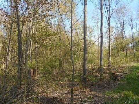 Tiny photo for 0 Neamon Drive, Yorkshire, NY 14042 (MLS # B1684429)