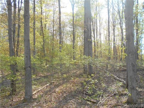 Tiny photo for 0 Neamon Drive, Yorkshire, NY 14042 (MLS # B1684429)