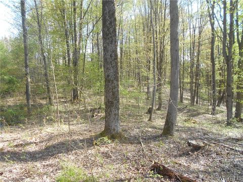 Tiny photo for 0 Neamon Drive, Yorkshire, NY 14042 (MLS # B1684429)
