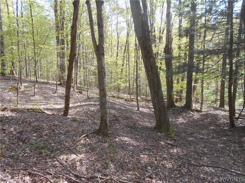 Tiny photo for 0 Neamon Drive, Yorkshire, NY 14042 (MLS # B1684429)