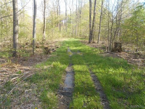 Tiny photo for 0 Neamon Drive, Yorkshire, NY 14042 (MLS # B1684429)