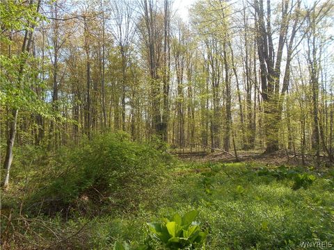 Tiny photo for 0 Neamon Drive, Yorkshire, NY 14042 (MLS # B1684429)