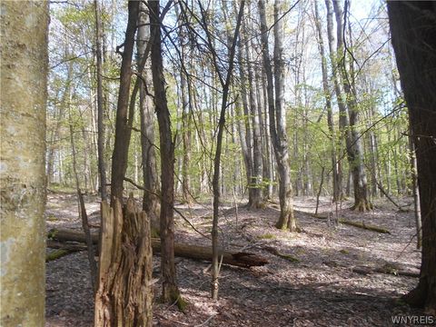 Tiny photo for 0 Neamon Drive, Yorkshire, NY 14042 (MLS # B1684429)
