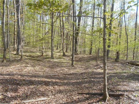 Tiny photo for 0 Neamon Drive, Yorkshire, NY 14042 (MLS # B1684429)