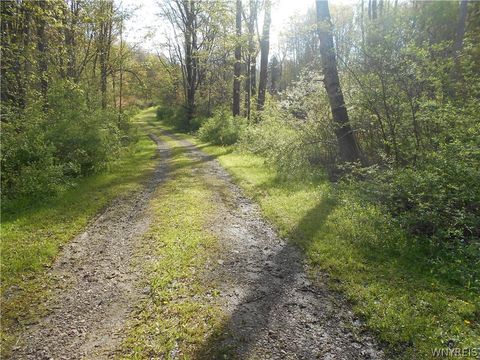 Tiny photo for 0 Neamon Drive, Yorkshire, NY 14042 (MLS # B1684429)