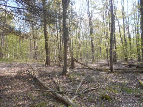 Tiny photo for 0 Neamon Drive, Yorkshire, NY 14042 (MLS # B1684429)