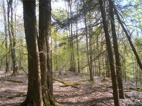 Tiny photo for 0 Neamon Drive, Yorkshire, NY 14042 (MLS # B1684429)