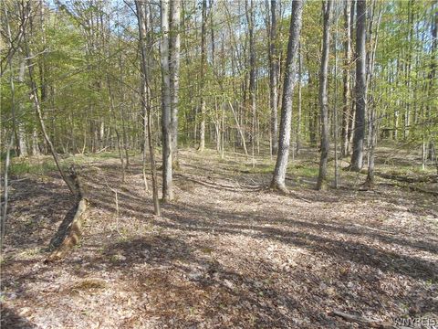 Tiny photo for 0 Neamon Drive, Yorkshire, NY 14042 (MLS # B1684429)