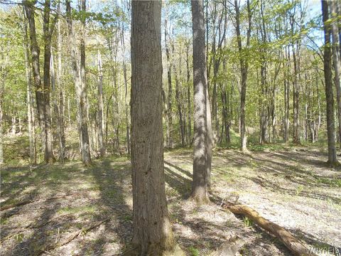 Tiny photo for 0 Neamon Drive, Yorkshire, NY 14042 (MLS # B1684429)