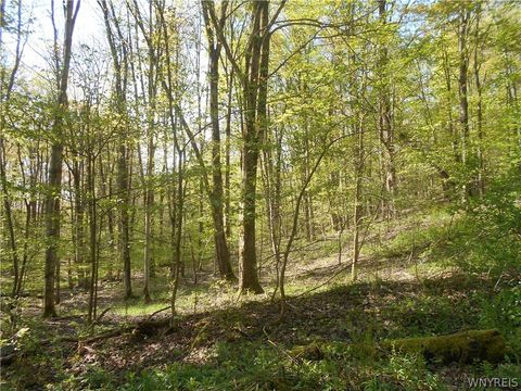 Tiny photo for 0 Neamon Drive, Yorkshire, NY 14042 (MLS # B1684429)