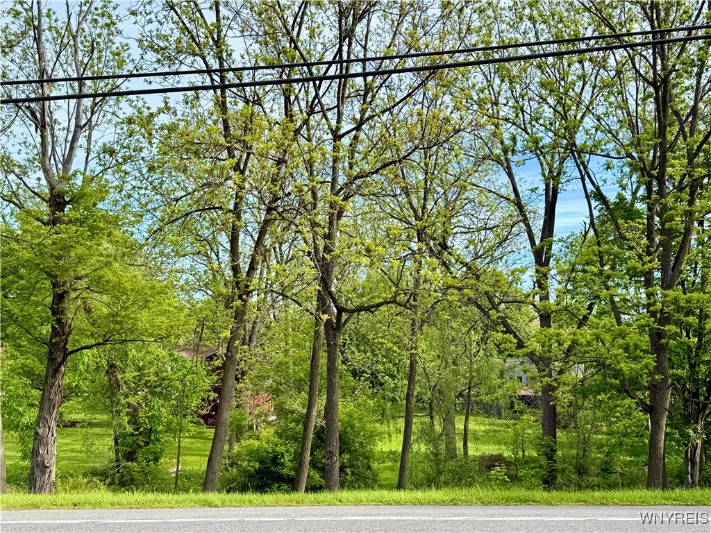 35 Victor Mendon Road, Mendon, New York image 29