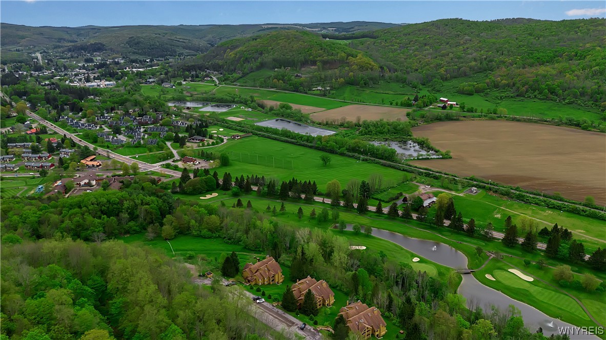 B102 Snowpine, Ellicottville, New York image 7