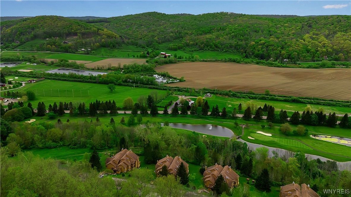 B102 Snowpine, Ellicottville, New York image 5