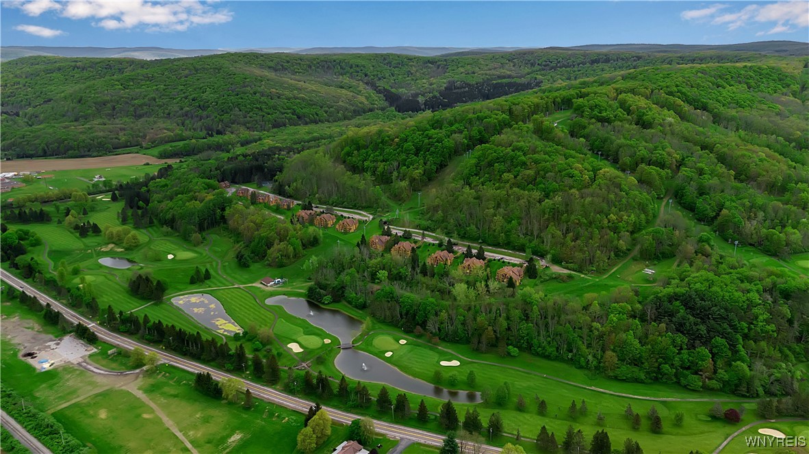 B102 Snowpine, Ellicottville, New York image 15