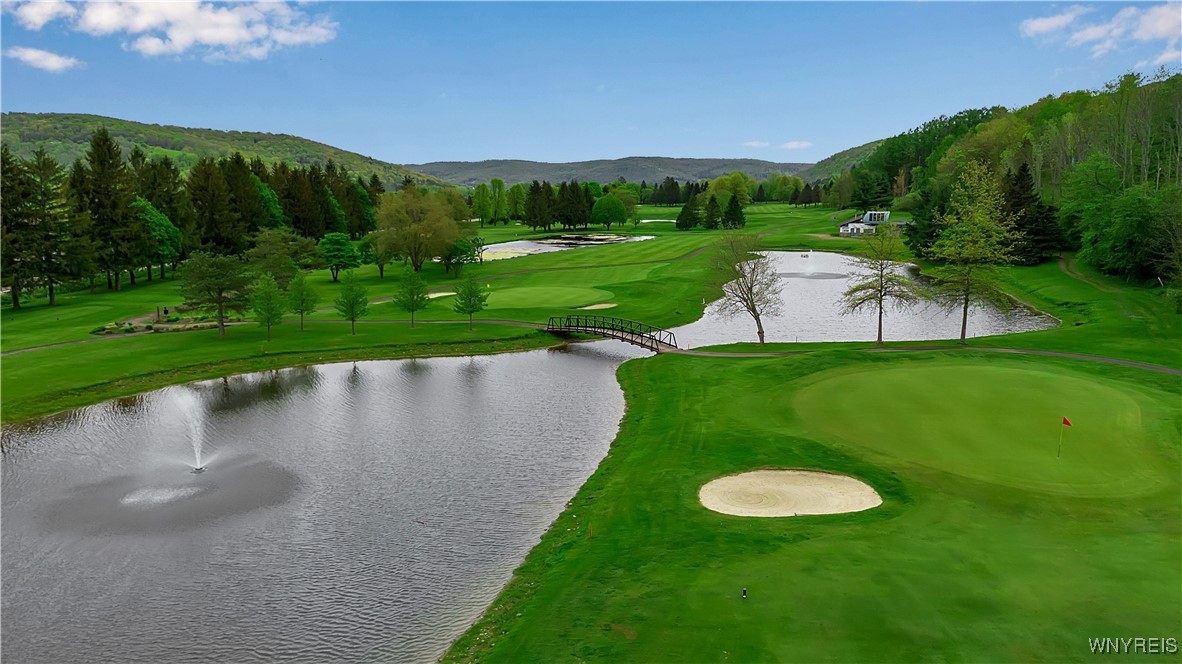 B102 Snowpine, Ellicottville, New York image 19