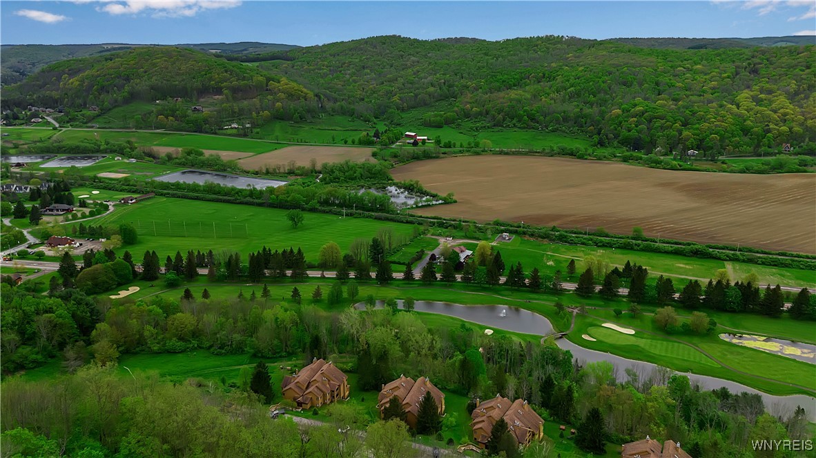 B102 Snowpine, Ellicottville, New York image 6