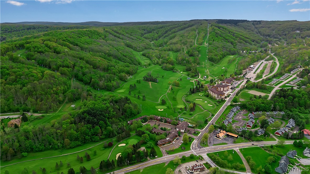 B102 Snowpine, Ellicottville, New York image 14