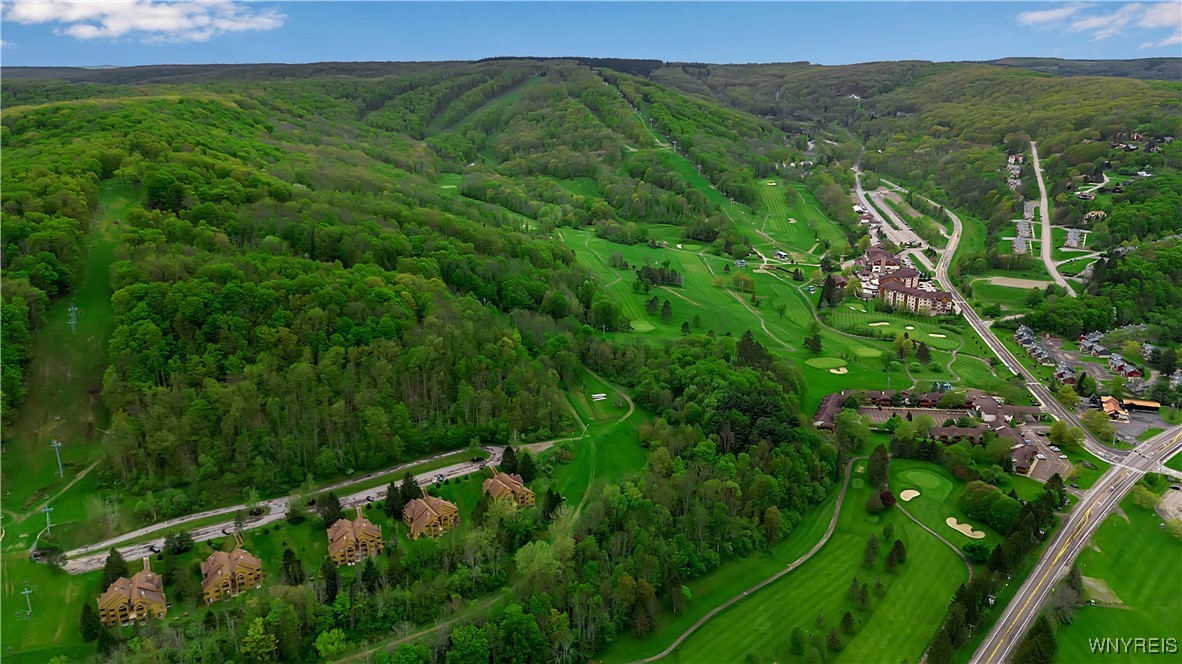 B102 Snowpine, Ellicottville, New York image 13