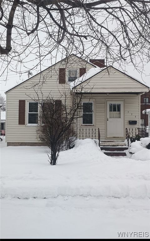 559 31st Street Niagara Falls NY 14301