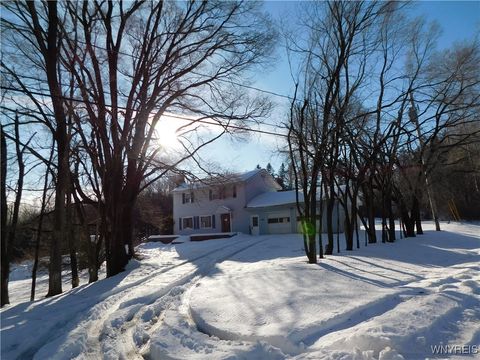 Homes For Sale - 1108 Macduffie Drive<br/> Hinsdale, NY 14743