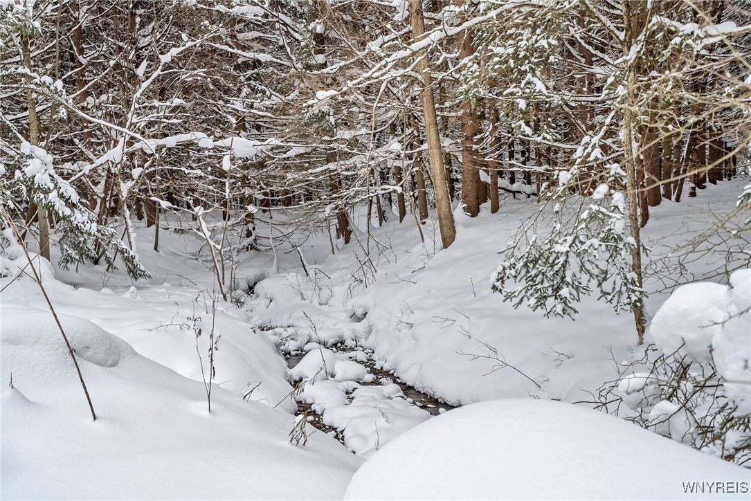 V/L Clare Valley Road, Franklinville, New York image 6